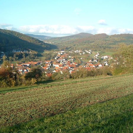 Ferienwohnung Hergenroeder Riedenberg  Exteriér fotografie