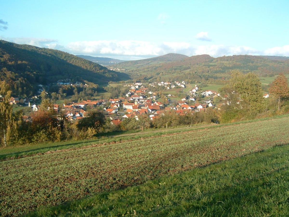 Ferienwohnung Hergenroeder Riedenberg  Exteriér fotografie